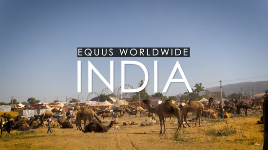 Equus Worldwide: India [Excerpt]
